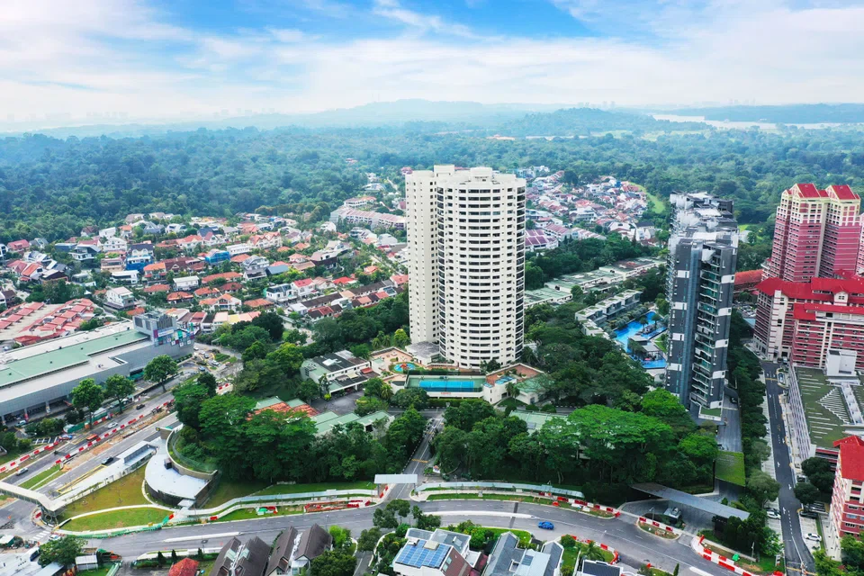 Aerial View of Upper Thomson Enclave