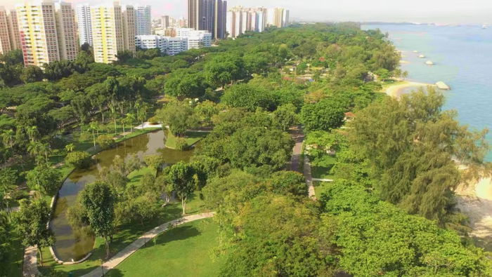Bedok Reservoir Park scenic waterfront with recreational activities, cycling paths, and community spaces